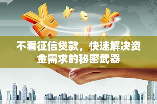 阳山不看征信贷款，快速解决资金需求的秘密武器