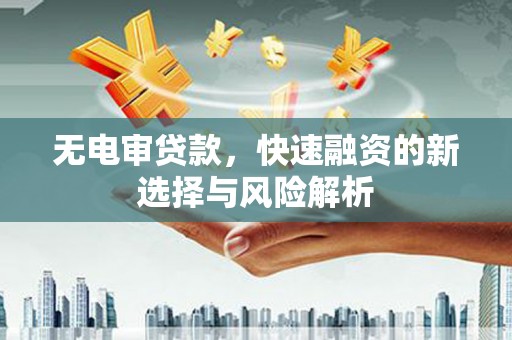 阳山无电审贷款，快速融资的新选择与风险解析