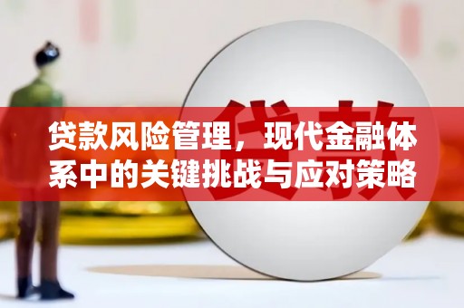 阳山贷款风险管理，现代金融体系中的关键挑战与应对策略