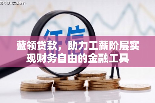 阳山蓝领贷款，助力工薪阶层实现财务自由的金融工具