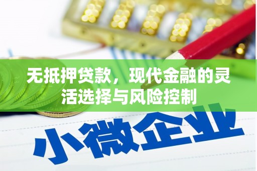 阳山无抵押贷款，现代金融的灵活选择与风险控制