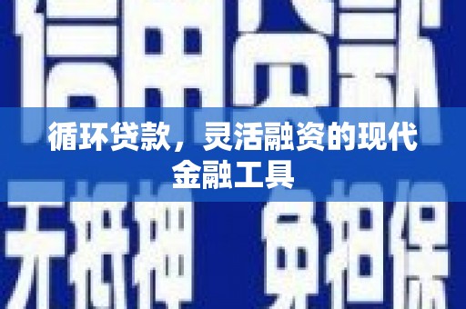 阳山循环贷款，灵活融资的现代金融工具