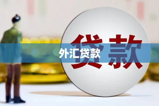 阳山外汇贷款