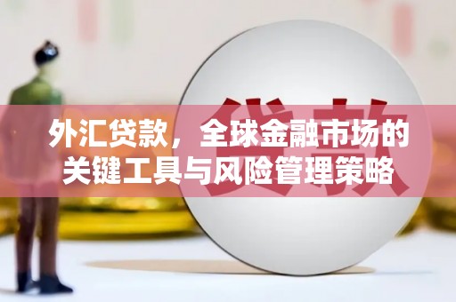 阳山外汇贷款，全球金融市场的关键工具与风险管理策略