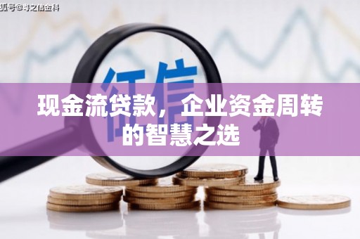 阳山现金流贷款，企业资金周转的智慧之选