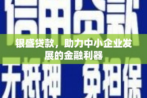 阳山银盛贷款，助力中小企业发展的金融利器