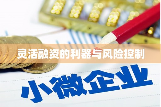 阳山灵活融资的利器与风险控制