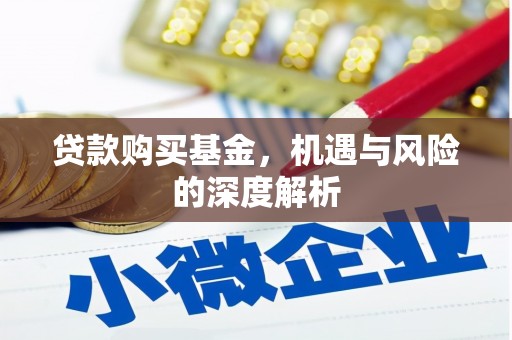 阳山贷款购买基金，机遇与风险的深度解析