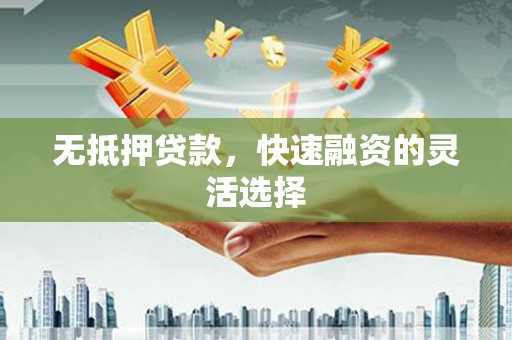 阳山无抵押贷款，快速融资的灵活选择