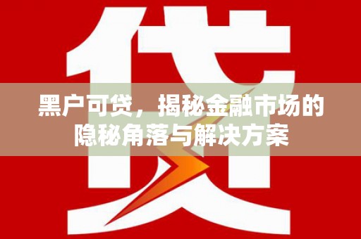 阳山黑户可贷，揭秘金融市场的隐秘角落与解决方案