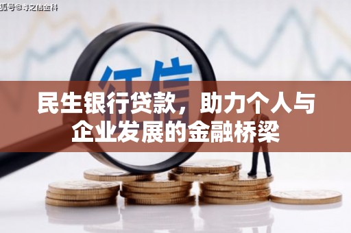 阳山民生银行贷款，助力个人与企业发展的金融桥梁