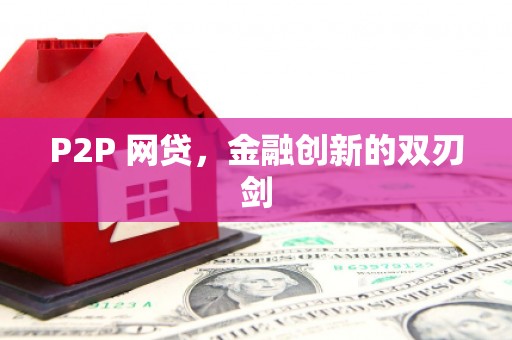 阳山P2P 网贷，金融创新的双刃剑