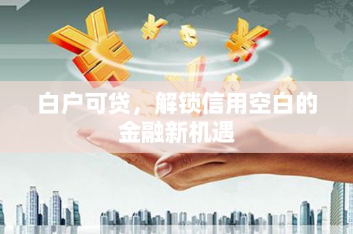 阳山白户可贷，解锁信用空白的金融新机遇