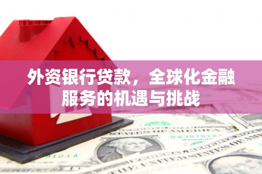 阳山外资银行贷款，全球化金融服务的机遇与挑战