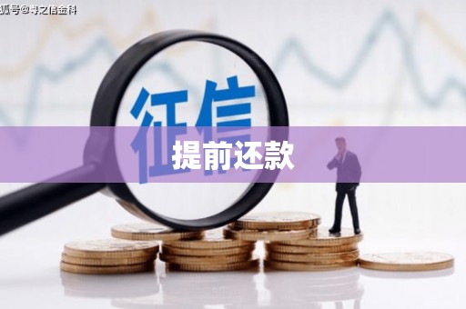 阳山提前还款