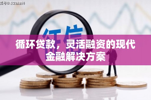 阳山循环贷款，灵活融资的现代金融解决方案