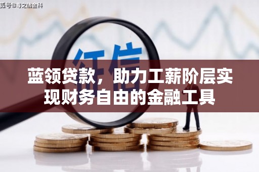 阳山蓝领贷款，助力工薪阶层实现财务自由的金融工具