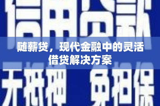 阳山随薪贷，现代金融中的灵活借贷解决方案