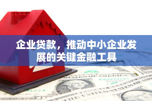阳山企业贷款，推动中小企业发展的关键金融工具