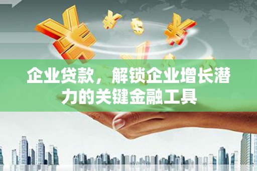 阳山企业贷款，解锁企业增长潜力的关键金融工具