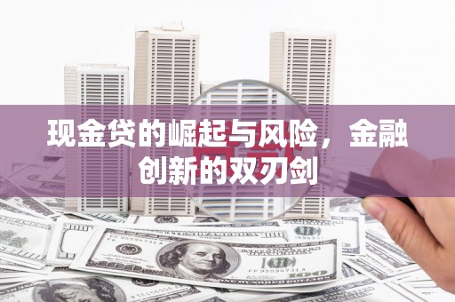 阳山现金贷的崛起与风险，金融创新的双刃剑