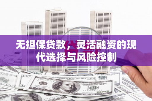 阳山无担保贷款，灵活融资的现代选择与风险控制