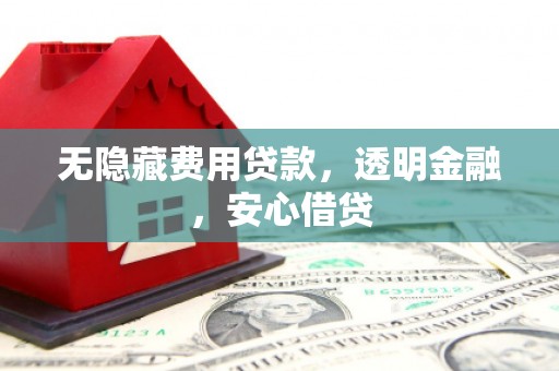 阳山无隐藏费用贷款，透明金融，安心借贷