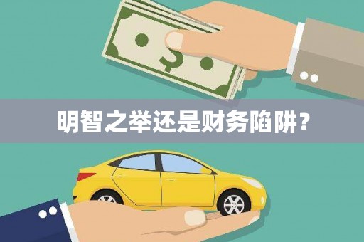 阳山明智之举还是财务陷阱？