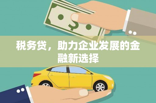 阳山税务贷，助力企业发展的金融新选择