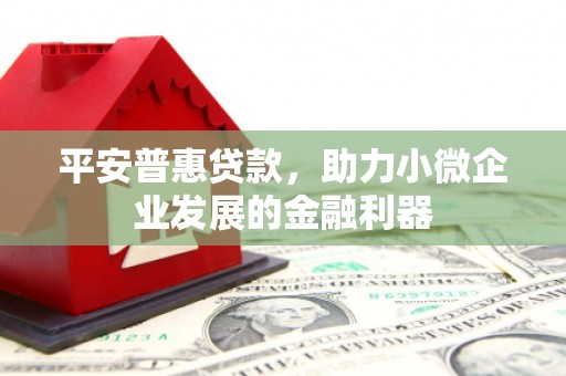 阳山平安普惠贷款，助力小微企业发展的金融利器