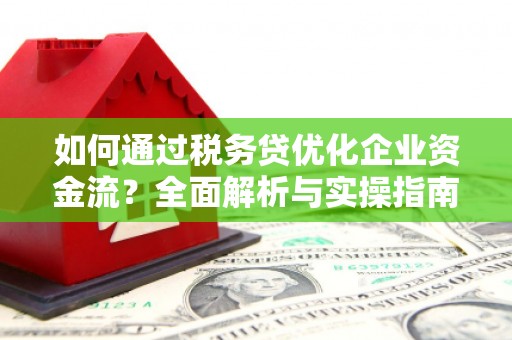 阳山如何通过税务贷优化企业资金流？全面解析与实操指南