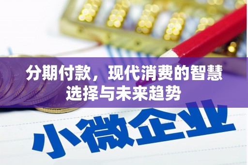 阳山分期付款，现代消费的智慧选择与未来趋势