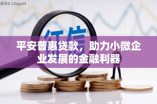 阳山平安普惠贷款，助力小微企业发展的金融利器