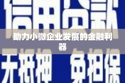 阳山助力小微企业发展的金融利器
