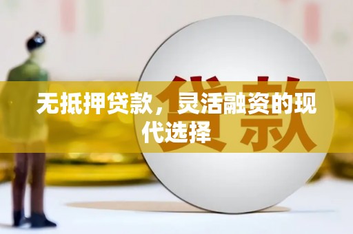 阳山无抵押贷款，灵活融资的现代选择