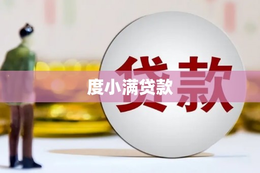 阳山度小满贷款