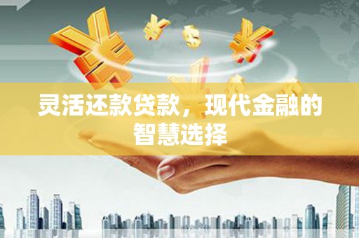 阳山灵活还款贷款，现代金融的智慧选择