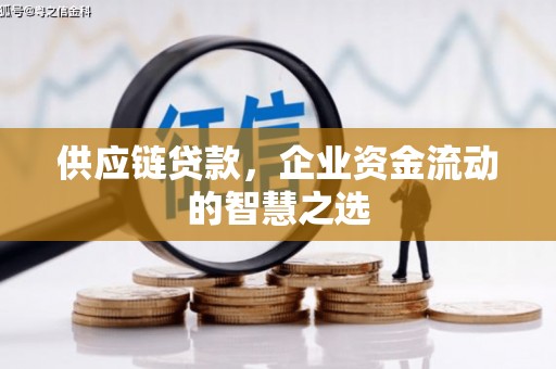 阳山供应链贷款，企业资金流动的智慧之选