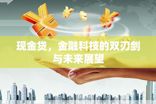 阳山现金贷，金融科技的双刃剑与未来展望