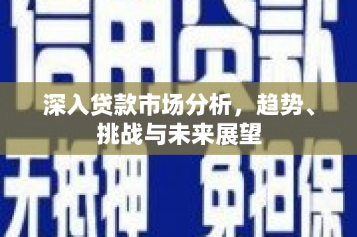 阳山深入贷款市场分析，趋势、挑战与未来展望