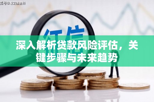 阳山深入解析贷款风险评估，关键步骤与未来趋势