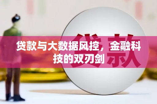 阳山贷款与大数据风控，金融科技的双刃剑