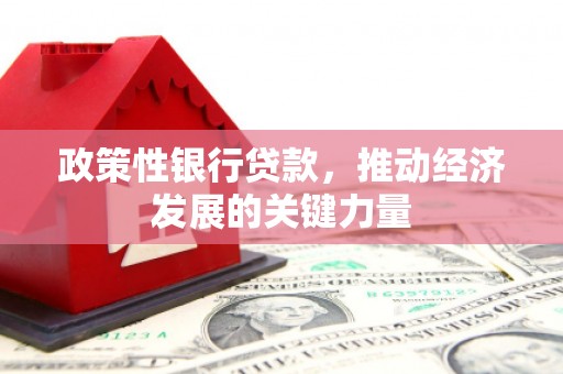 阳山政策性银行贷款，推动经济发展的关键力量