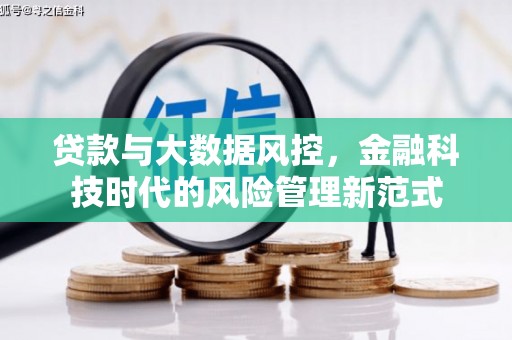阳山贷款与大数据风控，金融科技时代的风险管理新范式