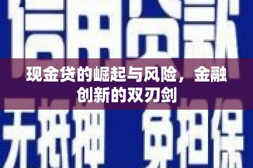 阳山现金贷的崛起与风险，金融创新的双刃剑