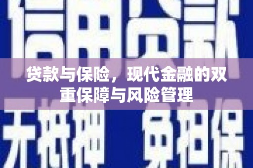 阳山贷款与保险，现代金融的双重保障与风险管理