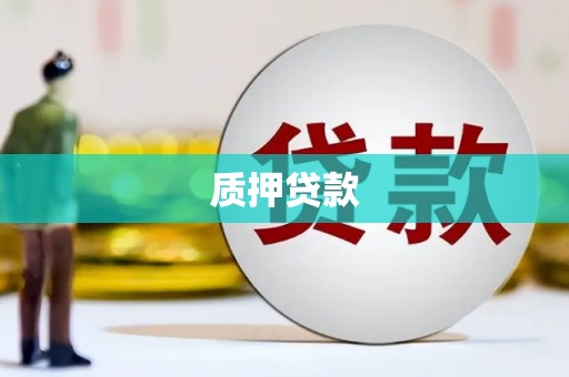 阳山质押贷款