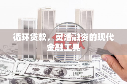 阳山循环贷款，灵活融资的现代金融工具