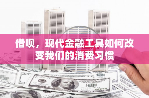 阳山借呗，现代金融工具如何改变我们的消费习惯