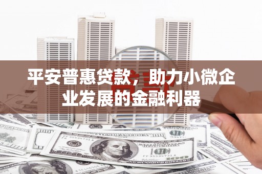 阳山平安普惠贷款，助力小微企业发展的金融利器